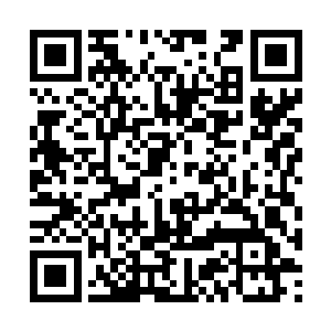 就要将已经进入到地下的噬金蚁全收回到灵兽袋内二维码生成