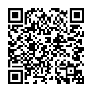 就要杀死造化圣皇……这已经是近乎不可能完成的任务二维码生成