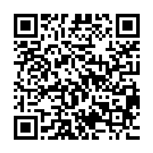 就要青锋剑派和青水剑派的精英弟子全部都葬身在青兰虚境之内二维码生成