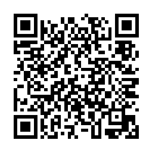 就要靠这位九级战神带领着这支精锐队伍进行支援二维码生成