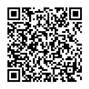 就见一个在这里等着要收购翡翠的珠宝商已经两眼发直地吼叫起来二维码生成
