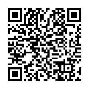 就见一位在宫里侍候多年的老嬷嬷堆着一脸笑走上前来二维码生成