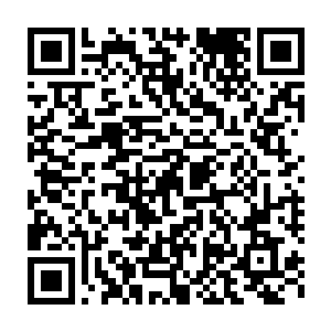 就见一架机甲在高出他十倍左右的触手林中像一只飞燕一般灵活穿梭二维码生成