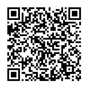 就见一片柳叶夹着一块血肉就飞到了句芒带着荧光的柳条上面去了二维码生成