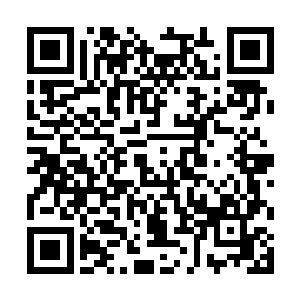 就见一见远去的众人竟是忽然转身往回飞了过来~二维码生成