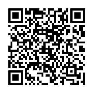 就见人族血墓陵园与其他各族血墓陵园都有很大的不同二维码生成