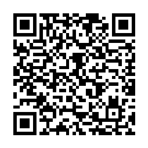 就见他的伤口以肉眼可见的速度愈合并长出新的身体二维码生成