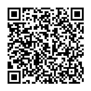 就见先前被苏红眉一剑削成两半的那个须发皆白的老头已重新站起二维码生成