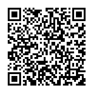 就见凤瑾元顶着颗猪头正在前院儿指挥下人把一口口大箱子往外头的马车上搬二维码生成