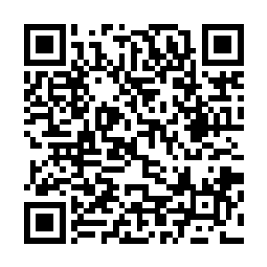 就见到一名身穿蜜合色折枝花卉褙子的少女款款走了进来来二维码生成