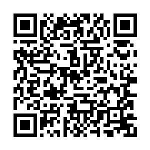 就见到了对方咽喉处上那个血肉模糊的贯通伤口二维码生成