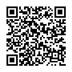 就见到公安局长邓家春穿着军大衣在院子里转悠二维码生成