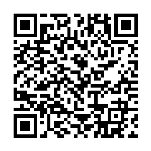 就见到剩下的那些传承台上的修士纷纷被反弹了出来二维码生成