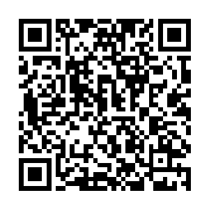 就见到落阳的手中不知道什么时候握着一颗妖丹……二维码生成