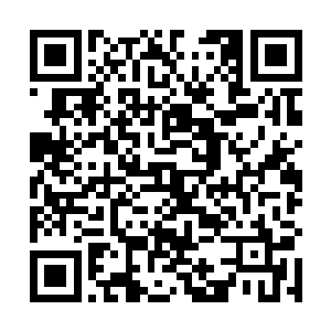 就见到那妖兽像是遇到了天敌一般整个身体都趴了下去二维码生成