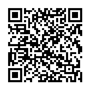 就见十多个形貌各异但气质极佳的年轻人从大厅里走出来二维码生成