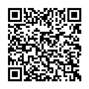 就见原本在那股气旋波动重压下苦苦挣扎的少年二维码生成