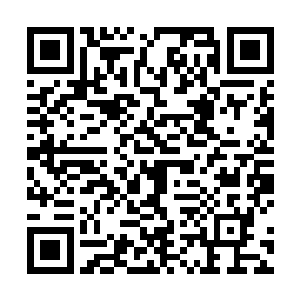 就见启佑捧着两根金灿灿的仿若棒子似的东西走了进来二维码生成