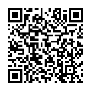 就见大屏幕中出现了这些带着金色铭牌的机甲快的穿梭飞跃二维码生成