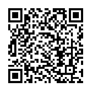就见大比会场的光幕从上到下排列着十一学宫的最终名次二维码生成