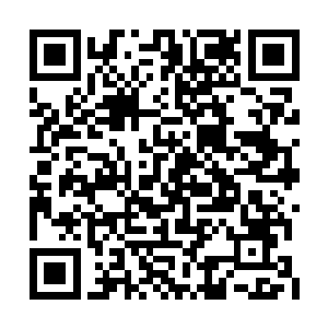 就见巨大神念光人周身的白色涟漪突然尽数飞出二维码生成