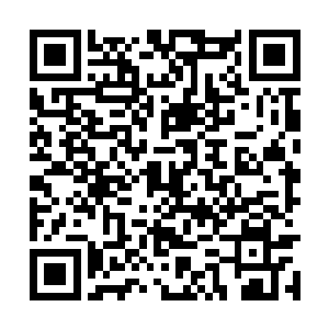 就见幻魔真龙古剑开始不断攻击贝翼皇最外层贝壳二维码生成