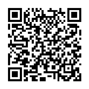 就见想容在凤羽珩一个眼神示意下最先就站了起来二维码生成