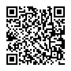 就见我娘的坟里下面趴着一只黄白相交带毛的东西二维码生成