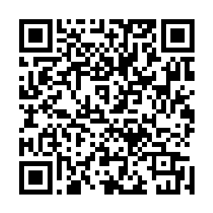 就见指头大小的建木竟然生根一般的长在一具石棺的盖上面二维码生成