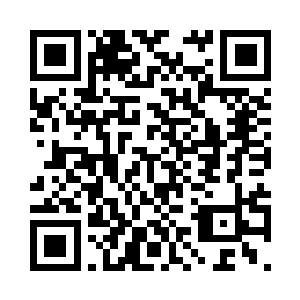 就见无数藤曼树枝蜂拥着从地下升起二维码生成