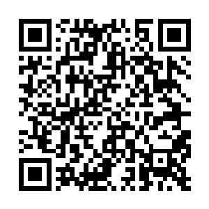 就见杀马特脸上已经不再是那种坑坑洼洼的样子了二维码生成