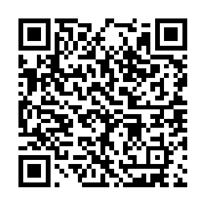 就见楚晨右拳之中突然散发出丝丝诡异莫名的力量二维码生成