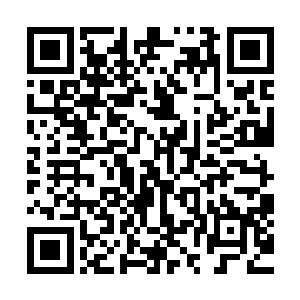 就见比张破岳足足高一头的王族鹰妖帅扇动着翅膀落在城墙上二维码生成
