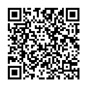就见浩哥儿的腹部以及大腿等处都是密密麻麻的红点点二维码生成