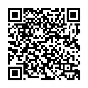 就见漫天的弱水与奇风突然变得犹如阳光下的水晶一样闪烁明亮二维码生成