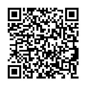 就见王绝灭身上的血肉如剥落的瓷片般片片飞离二维码生成