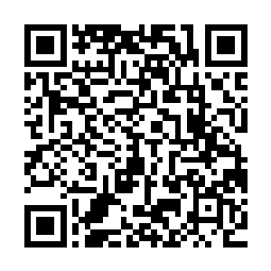 就见私生子亲自动手把那些管事弄过来的混杂能量注入到小塔上二维码生成