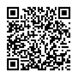 就见穿着咖啡色针织衫和浅蓝色铅笔裤的唐晓楠从小区走出来二维码生成