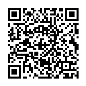 就见苗老汉握着一只光光的手掌朝上面扔着白白的虫子二维码生成