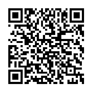 就见蝴蝶结变成了一团红雾从他指缝间飘散走了二维码生成