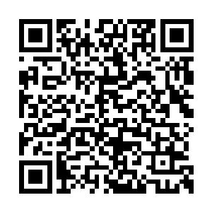 就见那只簪子里面一节节的链条飞快的飘了出来二维码生成