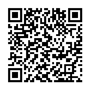 就见那百鬼夜行舟下无数双鬼手已一起向着唐劫抓来二维码生成