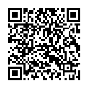 就见那鬼医松康正手足无措地蹲在一个难民的身边二维码生成