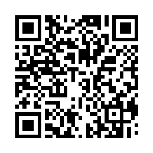 就见陀和嗑嗑来到一株长着厚厚叶片的植物下二维码生成