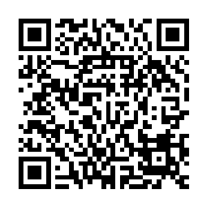 就觉得自己浑身上下所有的法力都被那白虎七杀图吸的干干净净二维码生成