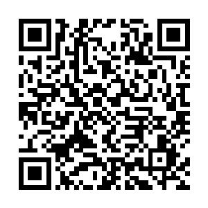 就让京城人民们也好好为这无与伦比的美味惊叹一番吧二维码生成