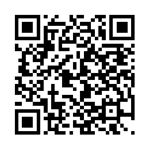 就让他们继续混混僵僵的在纽约那边呆着二维码生成