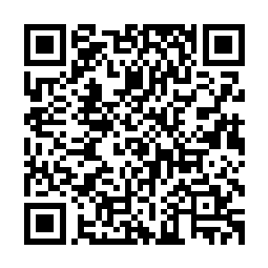 就让他喜欢上了这个那个曾经让自己伤心的大女儿所生的孩子二维码生成