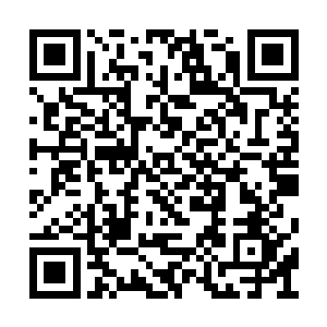 就让你们看看我鬼手十三这段时间修炼的成果吧二维码生成