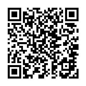 就让她先行踩上那块横架在水面用以衔接渡口和船头的木板二维码生成
